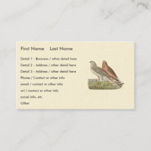 De Noordelijke Harrier (ringstaarthaai) NY Bird Visitekaartje