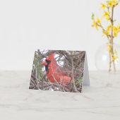 De noordelijke HoofdKaart van de Nota Kaart (Gele Bloem)