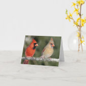 De noordelijke HoofdKaart van de Nota van de Foto Kaart (Gele Bloem)