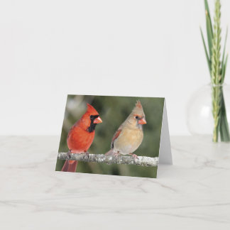 De noordelijke HoofdKaart van de Nota van de Foto Kaart