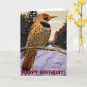 De noordelijke kaart van trillings klantgerichte (Gele Bloem)