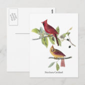 De Noordelijke Kardinaal van Audubon Briefkaart (Voorkant / Achterkant)
