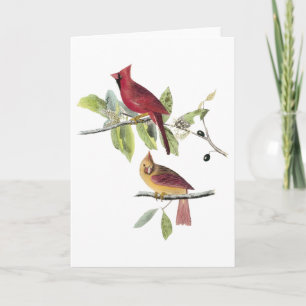 De Noordelijke Kardinaal van Audubon Kaart