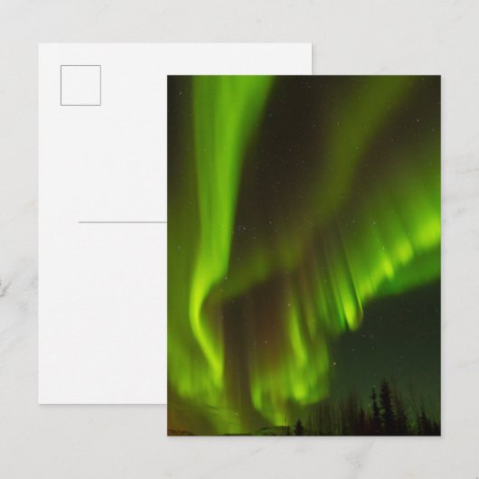 De noordelijke lichten | Fairbanks, Alaska Briefkaart (Voorkant / Achterkant)