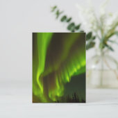 De noordelijke lichten | Fairbanks, Alaska Briefkaart (Staand voorkant)