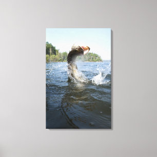 De noordelijke Pike springt uit het water in een m Canvas Afdruk