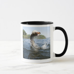 De noordelijke Pike springt uit het water in een m Mok