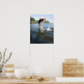 De noordelijke Pike springt uit het water in een m Poster (Keuken)