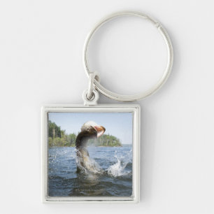 De noordelijke Pike springt uit het water in een m Sleutelhanger