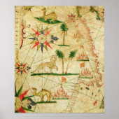 De noordkust van Afrika Poster (Voorkant)