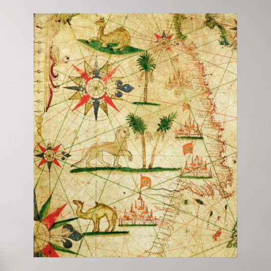 De noordkust van Afrika Poster (Voorkant)