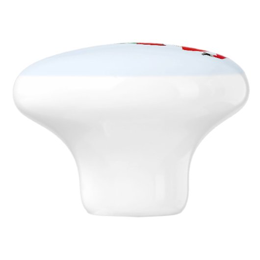 De Noordpool Knop (Zijkant)