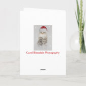 De Noorse BosKerstkaart van de Kat Feestdagen Kaart (Achterkant)