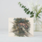 De Noorse Lynx van Joseph Wolf Briefkaart (Staand voorkant)