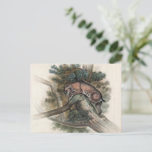 De Noorse Lynx van Joseph Wolf Briefkaart (Staand voorkant)