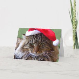 De norse Kaart van de Kat van Kerstmis