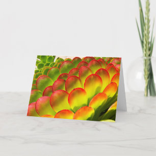 De notakaart van Aeonium door Debra Lee Baldwin Kaart