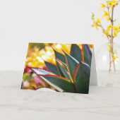 De notakaart van de agave van de "Blauwe Gloed" Kaart (Gele Bloem)