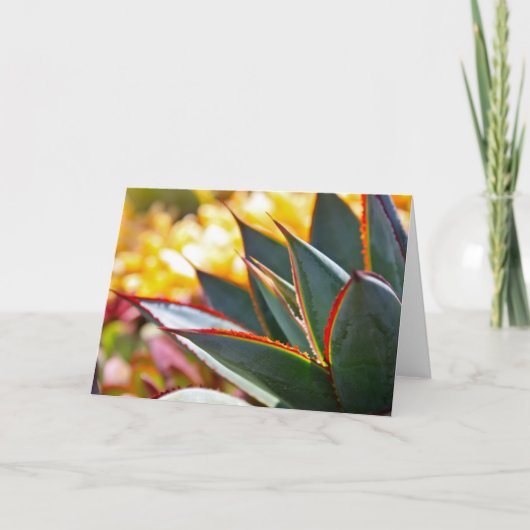 De notakaart van de agave van de "Blauwe Gloed" Kaart (Voorkant)