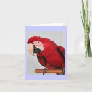 De notakaart van de ara kaart
