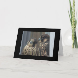 De notakaart van de valk kaart