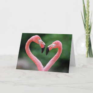 De notakaart van flamingo's kaart