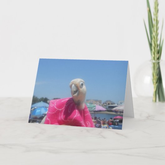 De notakaart van het Strand van Ella van de Kaart (Voorkant)