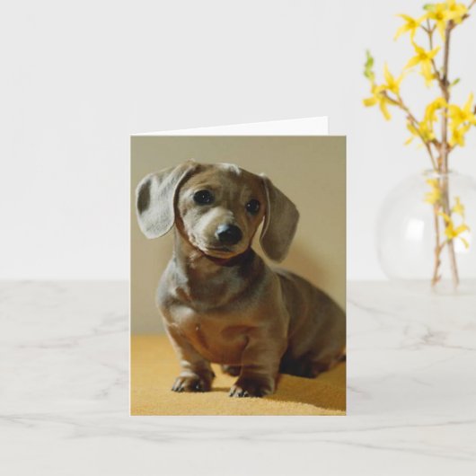 De notakaarten van Daschund Kaart (Gele Bloem)