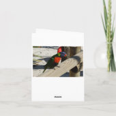 De notakaarten van Lorikeet Kaart (Achterkant)