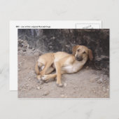 De Nowzad Dogs briefkaart RPG (Voorkant / Achterkant)