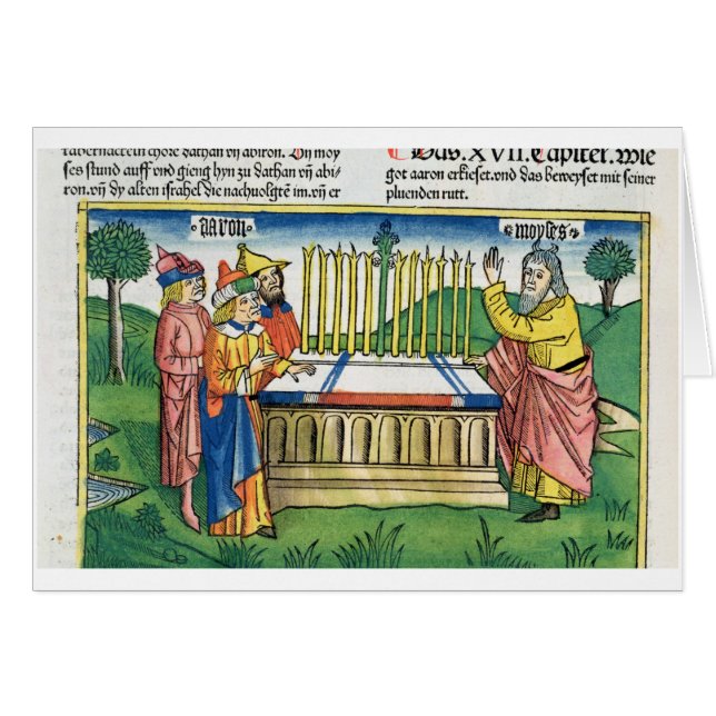 De nummers 17 1-11 Aaron's personeel bloomen op he (Voorkant Horizontaal)