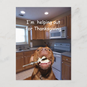 De nuttige hond van de Thanksgiving Feestdagenkaart