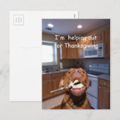 De nuttige hond van de Thanksgiving Feestdagenkaart (Voorkant / Achterkant)