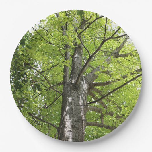 DE OAK-BOOM PAPIEREN BORDJE (Voorkant)