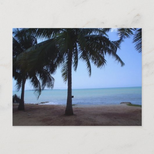 De oceaan in de ochtend briefkaart (Voorkant)