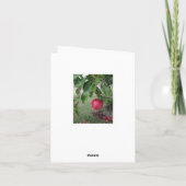 De Ochtend van de herfst in de Kaart van de Nota (Achterkant)