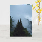 De Ochtend van Rotarua Kaart (Gele Bloem)