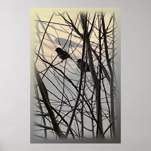 De ochtendvogels poster (Voorkant)