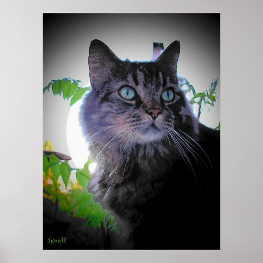 De ochtendzon staat op poster (Voorkant)