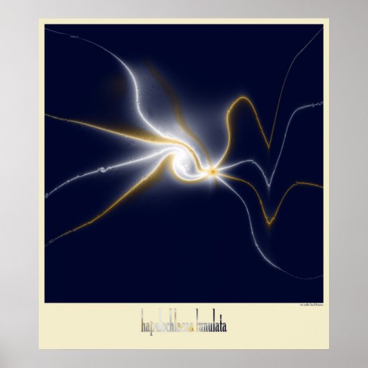 de octopus blauwe ring poster (Voorkant)