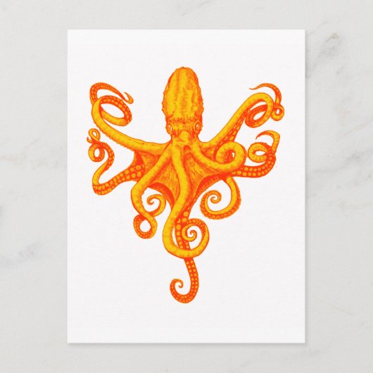 DE OCTOPUS-SCHIJVEN BRIEFKAART (Voorkant)