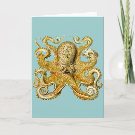 De Octopus van Ernst Haeckel Kaart (Voorkant)