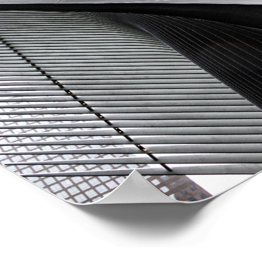 De Oculus Poster (Hoek)