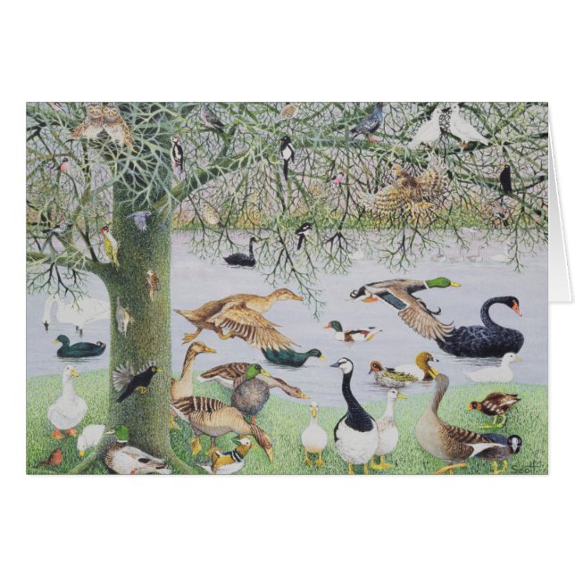 De Odd Duck (Voorkant Horizontaal)