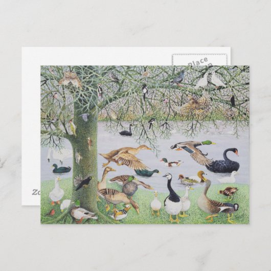 De Odd Duck Briefkaart (Voorkant / Achterkant)