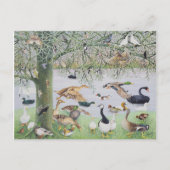 De Odd Duck Briefkaart (Voorkant)