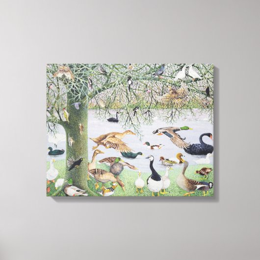 De Odd Duck Canvas Afdruk (Voorkant)