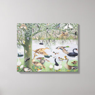 De Odd Duck Canvas Afdruk