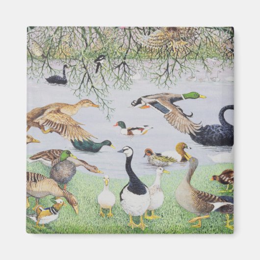 De Odd Duck Magneet (Voorkant)