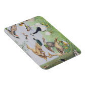 De Odd Duck Magneet (Rechterzijde)
